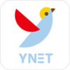 ��������app