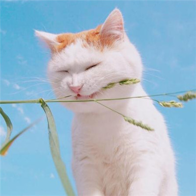 ��ҵ���˵˵��Ц˵˵��ȫ ������ҵ�����Ĭ����˵˵