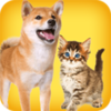 �˹�è������APPv2.5 ��׿��