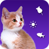 ��è����è�﷭��appv14.1 ��׿��