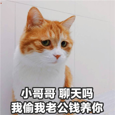 ��С���ı�����ɰ��� С���������