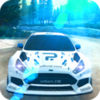 Rally Racer Dirt(��������ԽҰ)v1.5.5 ��׿��