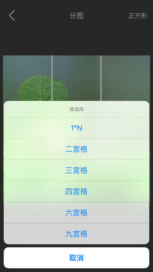 ��ͼios��v1.1.5 iPhone��