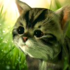 è��׷ѰKitty Questv0.81 ��׿��