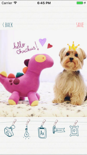 Click Serendipity���v1.5 ���°�