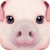 FarmSim(�ռ�ũ��ģ������Ϸ)v1.1 ��׿��