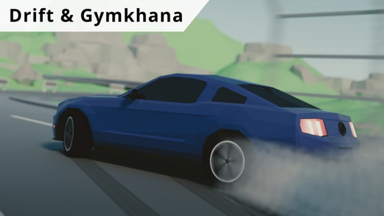 Skid Rally(��ҷƯ��������)v0.92 ��׿��