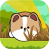 RollingDog(��������Ϸ)v0.2.9 ���°�