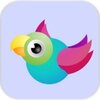 Bouncy Birds(����������Ϸ)v0.8 ���°�