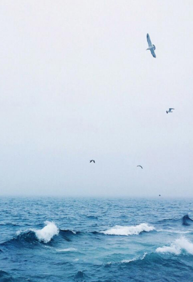 ���챳��ͼƬ��ȫΨ���羰 ��������һ��Ҳ�𹼸�������