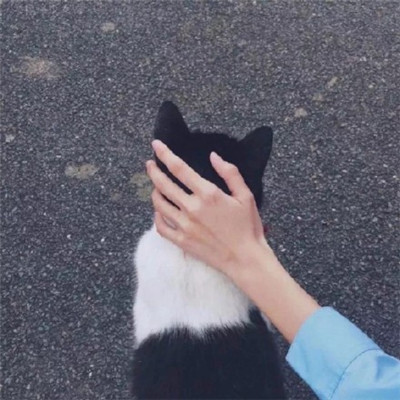 2018΢�ź���־�ĸ���ǩ������������ �������һ��ȥ�ܶ�