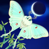 flutter starlight���ΰ�׿��v1.43 ���°�