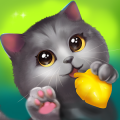 Meow Match(����������)