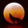 ҹ��Ӧ��ƻ����app���ص�ַv1.18.1 �ٷ���