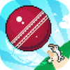 Mighty Cricket(ǿ��İ�����Ϸ)v1.0.1 ���°�