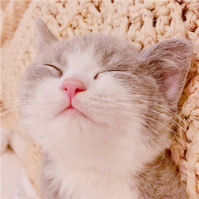 2018�����ĸ������в�ǩ����ȫ ʲô���鲻���黹����㱩����