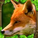 �����Fox Simulatorv1.0 �ֻ���
