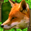 �����Fox Simulatorv1.0 �ֻ���
