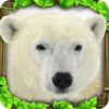 PolarBearSim(������ģ������Ϸ)v1 ��׿��
