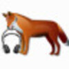 FoxPlayerv4.9.0 ��ɫ��