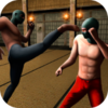 Ninja Kung Fu Fighting(��ҹ���߸�����)v1.2 ��׿��