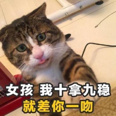 ��ζ�黰è���������� Ů����ʮ�þ��ȾͲ���һ��