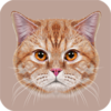 ѧè�з�����v1.9 ��׿��
