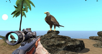 Desert Birds Sniper Hunter(ɳĮ��ѻ���)v1.2.1  ��׿��