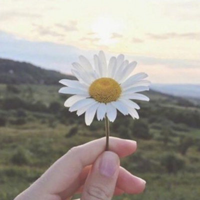 ΢������Ȧ����ͼ�羰�⾳ ����ü��Ĺ��²���ϲ�����ǹ���