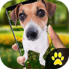 iDog - ������Ļ��v1.2 ��׿��