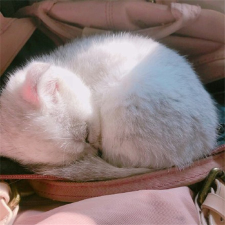 �ɰ�������΢������Ȧ����ͼ ���ҵ����������з�