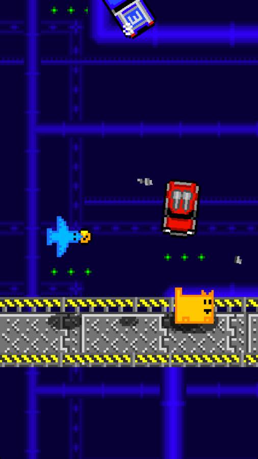 Box Cat Bash(����è��ײ)v1.1.0 �ֻ���