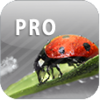 ColorUp Pro(ColorUp Lite)v2.4.21 ��׿��