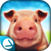 PigSimulator(С��ģ����)v1.0.1 ��׿��