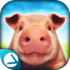 PigSimulator(ģ��С������)v1.0 ��׿��