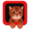 Cat Simulator 3D(Сèģ��������)v1.1 ��׿��