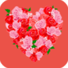 ������appv1.1.0 ��׿��