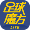 ����ħ��lite��v3.44 ��׿��