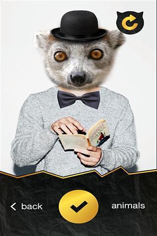 Swag Animalsv1.1.2 ���°�