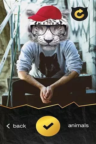 Swag Animalsv1.1.2 ���°�