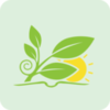 ��ݵ�v1.1.3 ��׿��