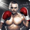 Real Fist(������ȭͷ����)v3.1.0 ��׿��