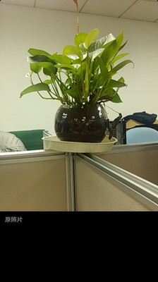 Little Photov7.3 ��׿��