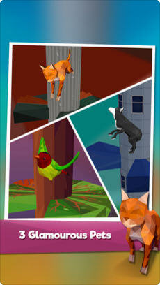 Pet Jump(�ȳ���Ծ��Ϸ)v1.0 ���°�