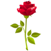 ����������ҳ������v1.8 ��ɫ��