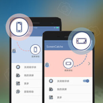 ¼����app
