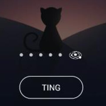 TING��app