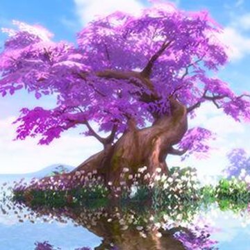 仙道行 仙道行