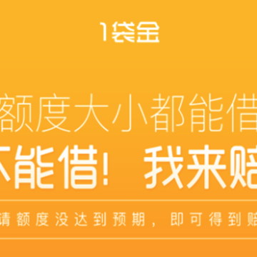 一袋金 一袋金