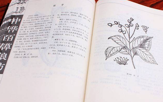 皮科时讯论坛 皮科时讯论坛
